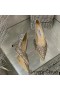 Jimmy Choo Dragoste Pompe De Femei Sclipici Degrada Tesatura De Argint/Aur
