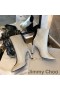 Ženske Čizme Jimmy Choo Macel 100 od Teleće kože u Bež boji